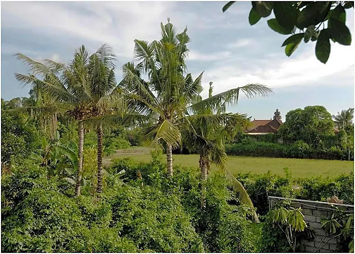 1 Bedroom, W/swimming Pool, Aircon, Hot Water,wifi * Singapadu Tengah